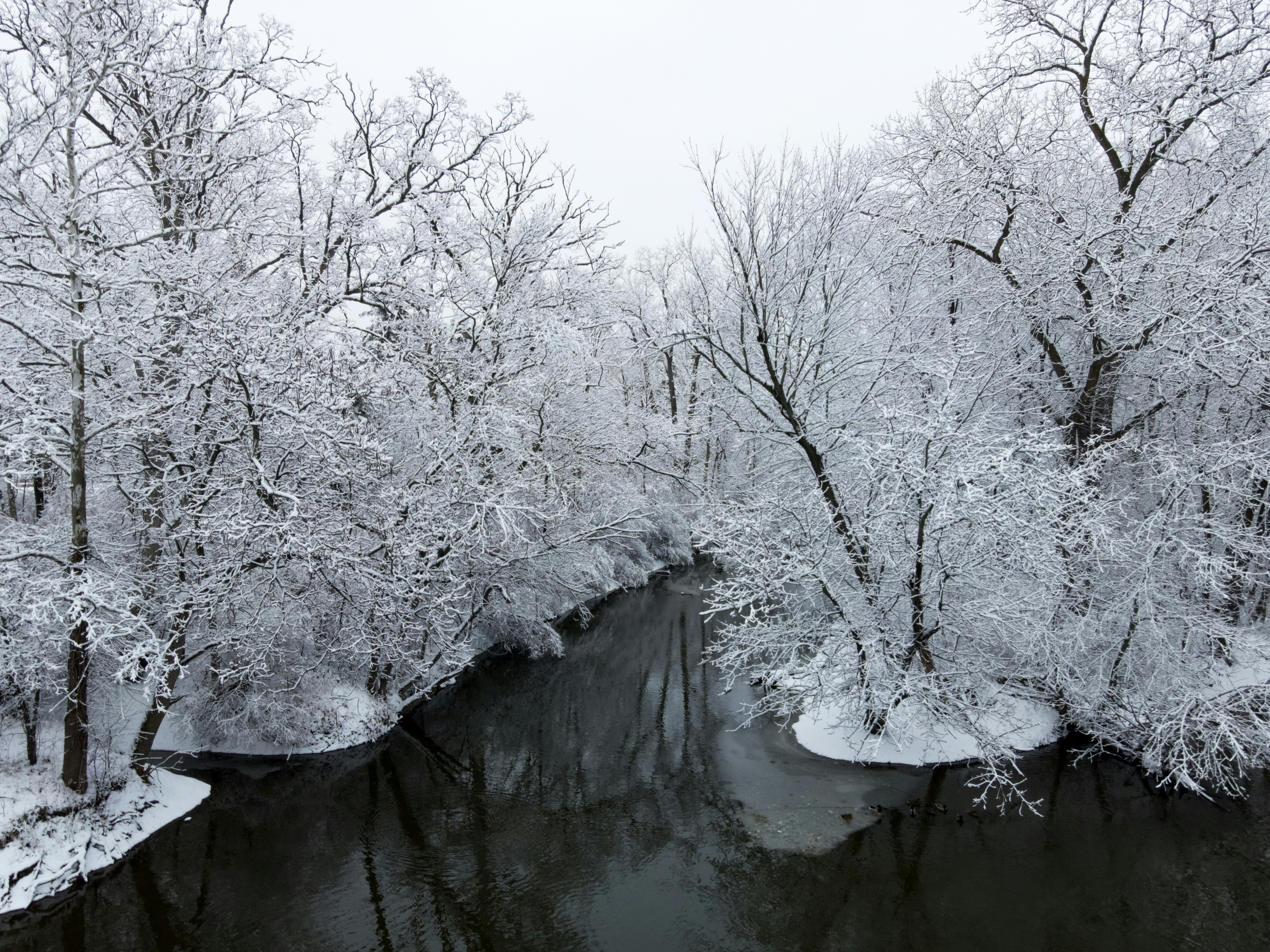 Photo by aaronburden