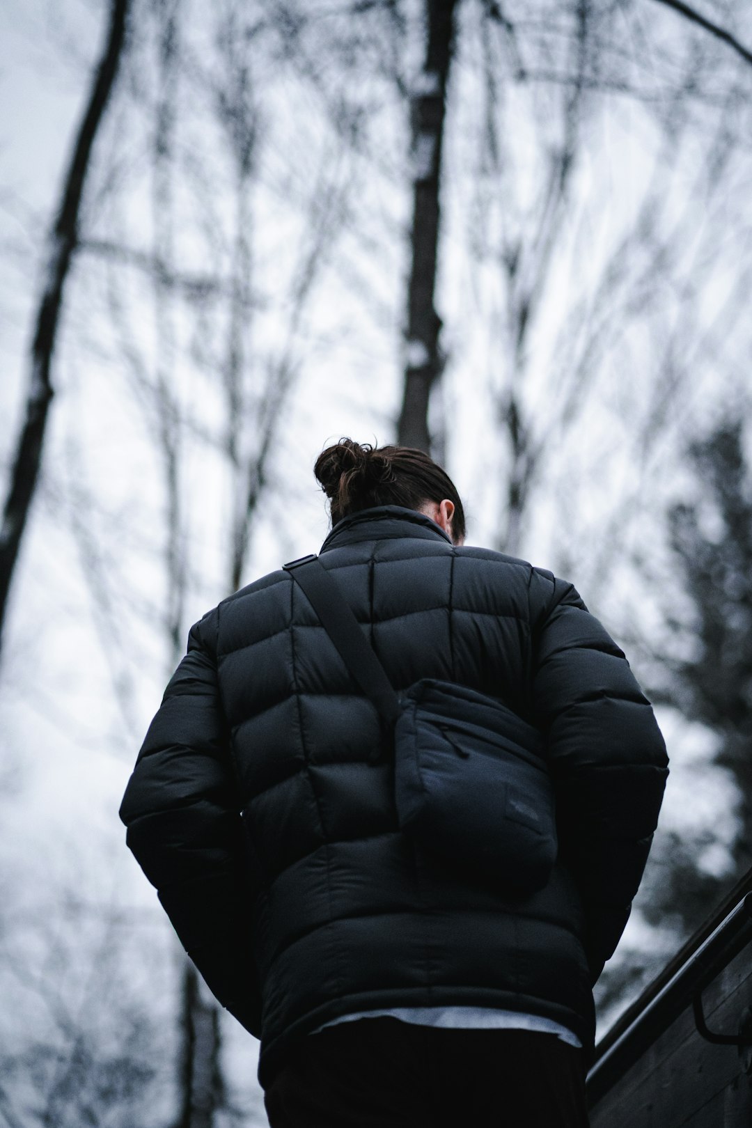 person in black bubble jacket standing near bare trees during daytime