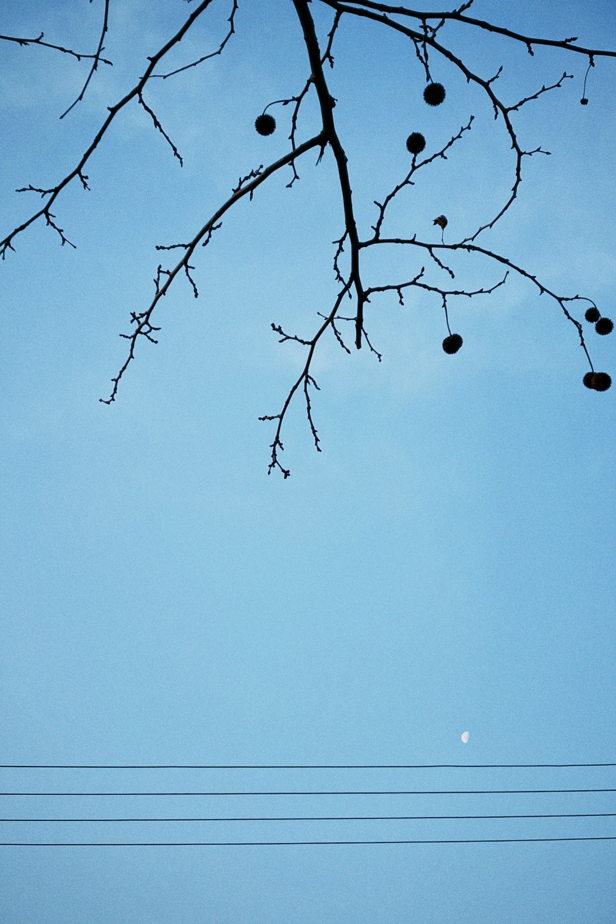 Photo by billow926