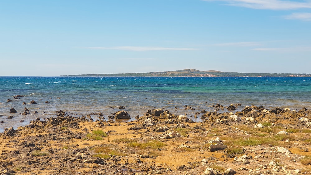 brown and black rocks on seashore during daytime