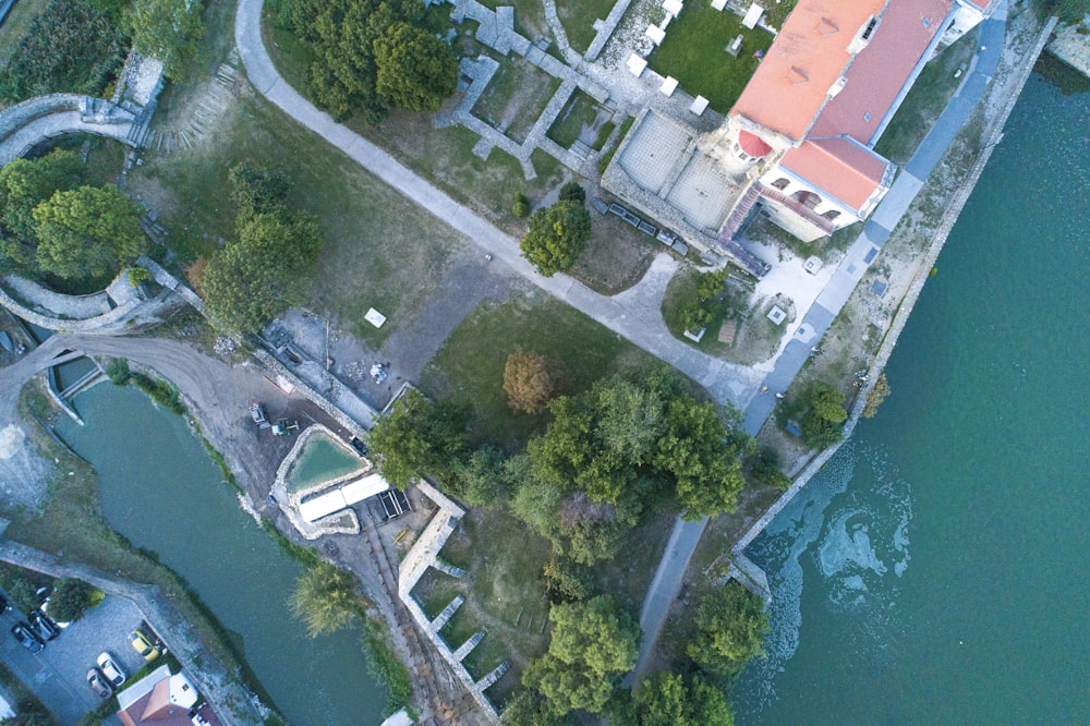 aerial view of green trees and river during daytime