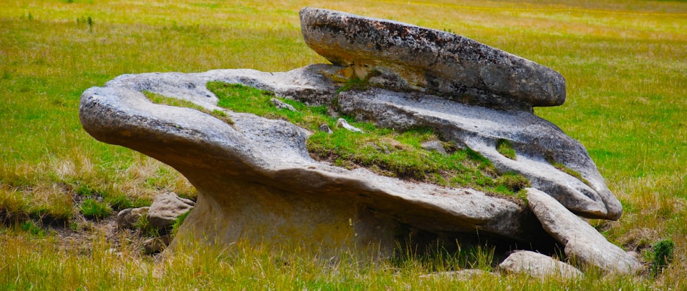 roccia marrone e nera sul campo di erba verde durante il giorno