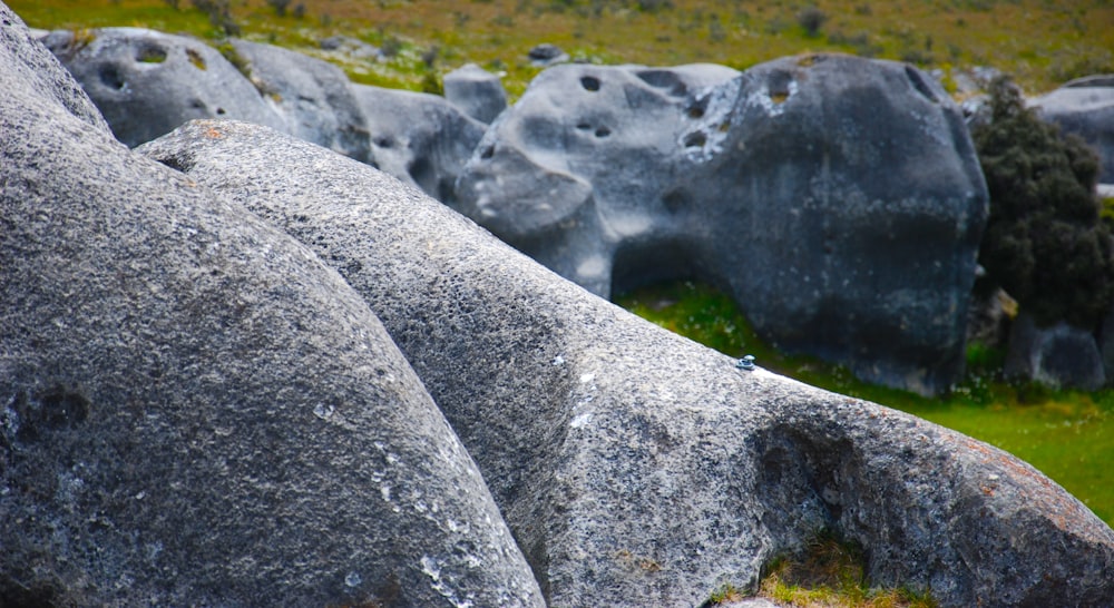 gray rock formation during daytime