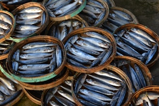 blue and brown fish on brown wooden round container