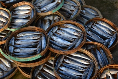 blue and brown fish on brown wooden round container