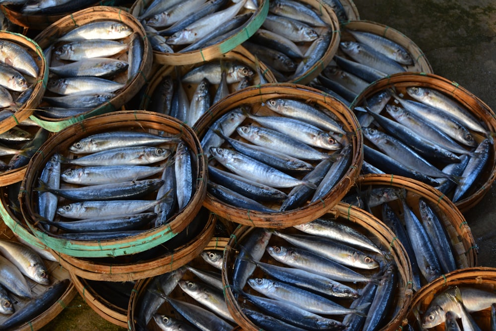 blue and brown fish on brown wooden round container