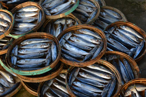 Cá tươi nguyên con trên mâm gỗ, sẵn sàng lên bếp