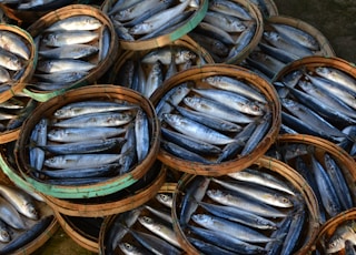 blue and brown fish on brown wooden round container