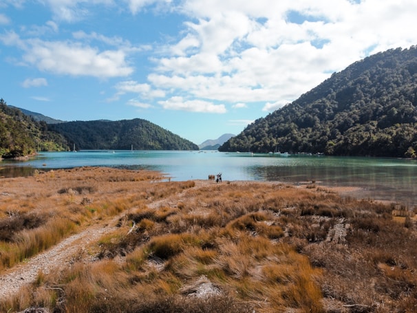 A serene landscape showcasing a community gathering in nature.