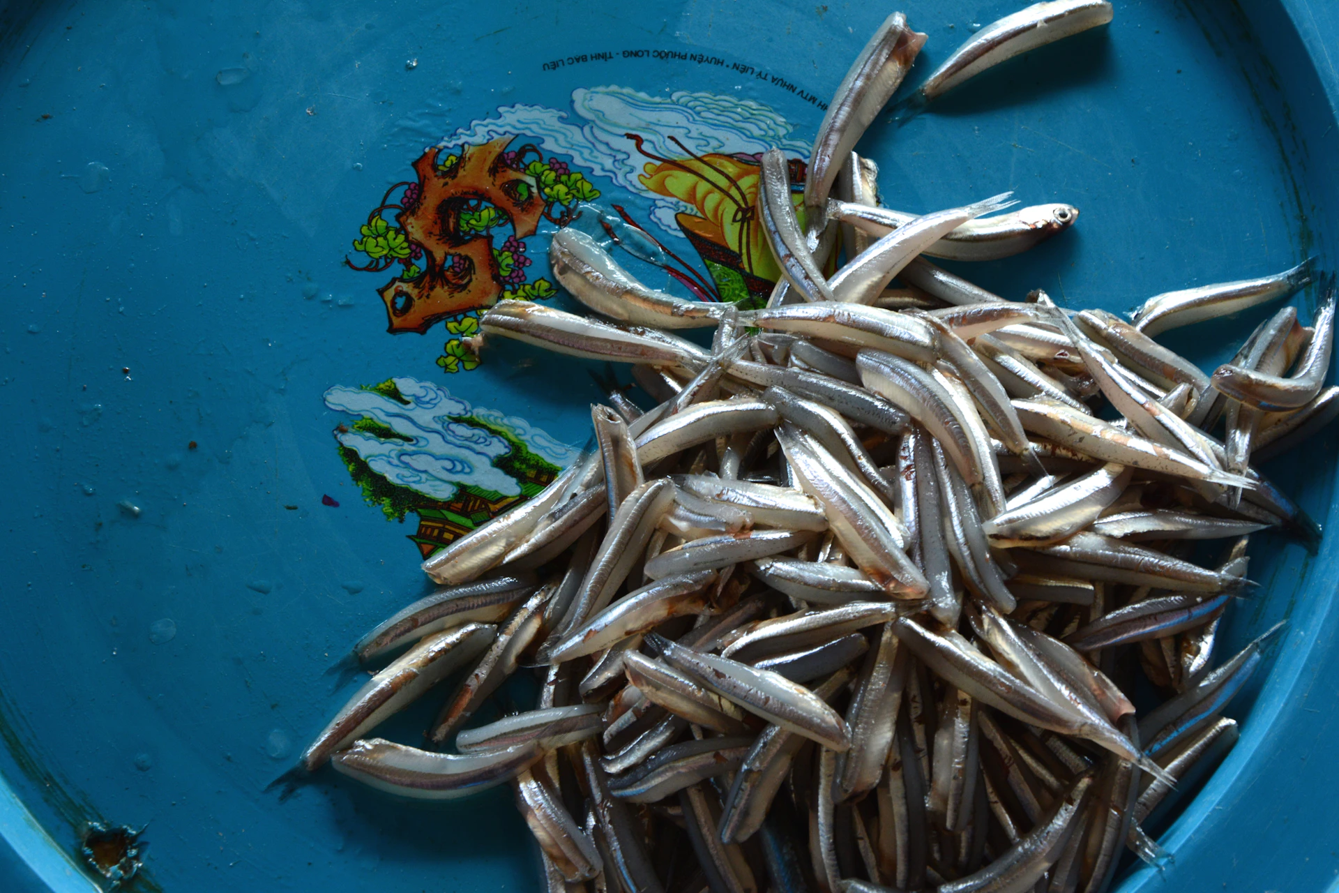 A rustic fish tray piled high with the morning's freshest catch, set on a wooden table overlooking the waterfront.