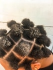 A close-up view of a person's scalp with neatly sectioned hair styled into small, rounded afro puffs. The sections form a grid pattern across the scalp, and each section is tied tightly to create the puffs. The hair is dark and textured.