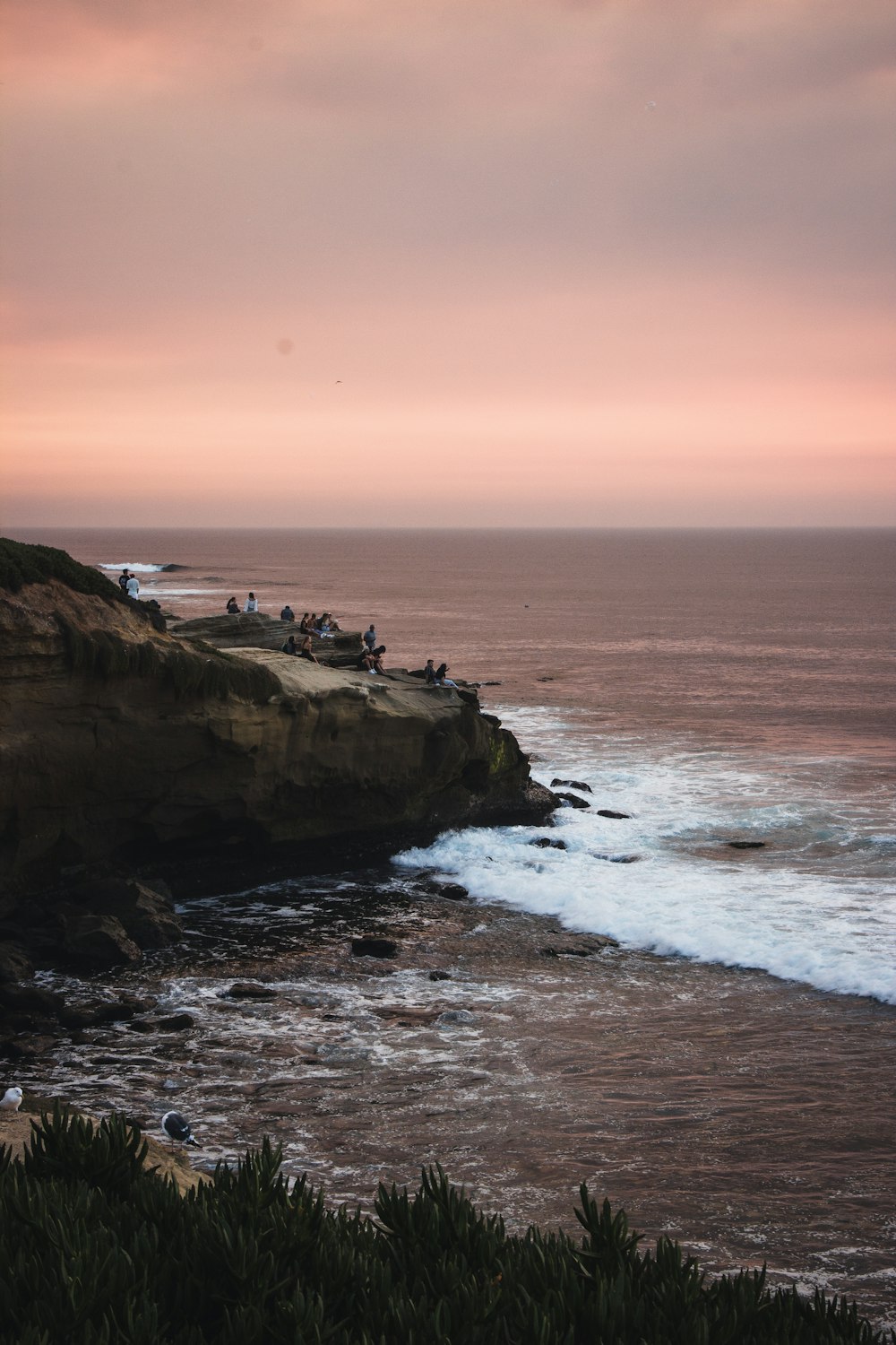 people on beach during sunset