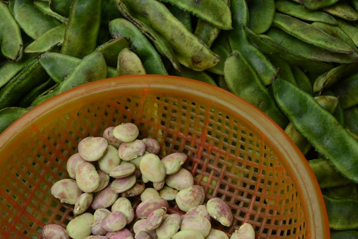 Broad Beans : Health Benefits