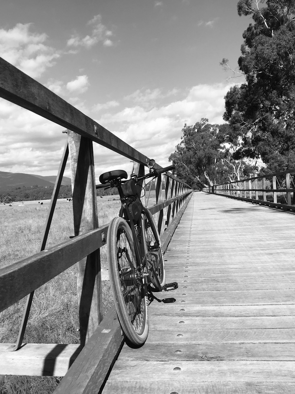 grayscale photo of bicycle on wooden bridge