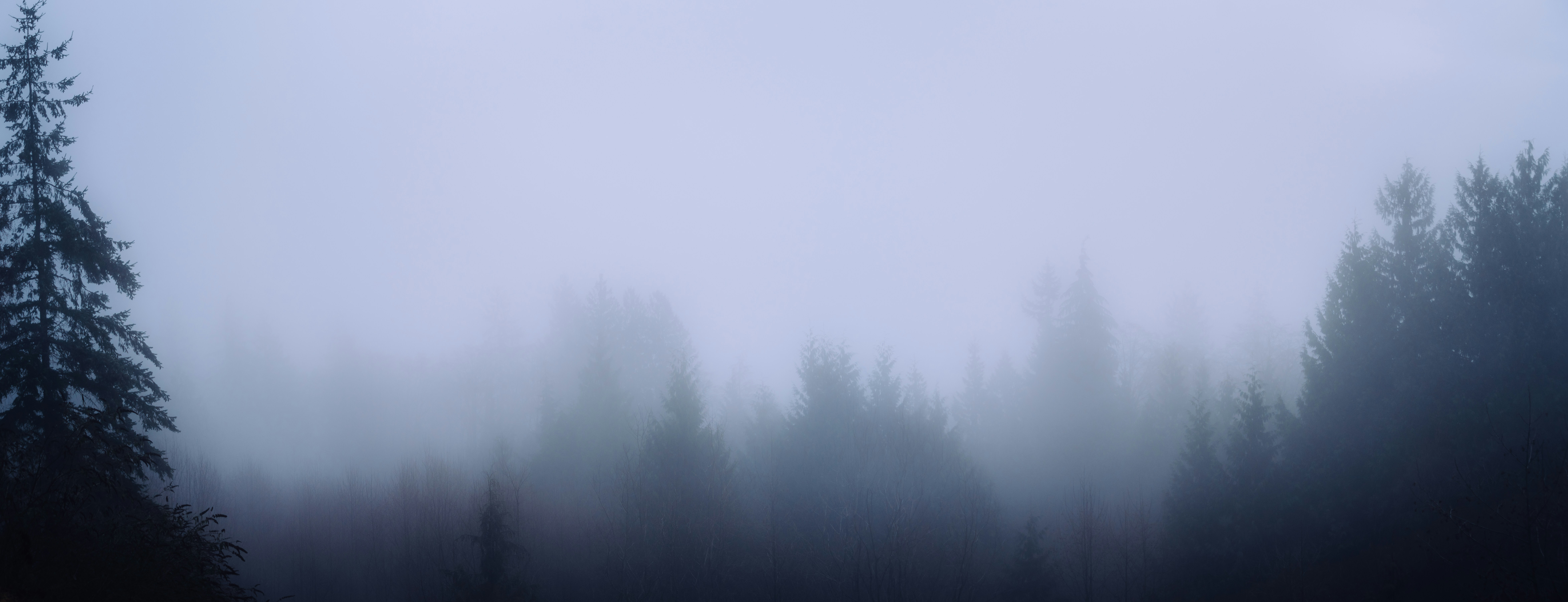 Photo by iseeworld