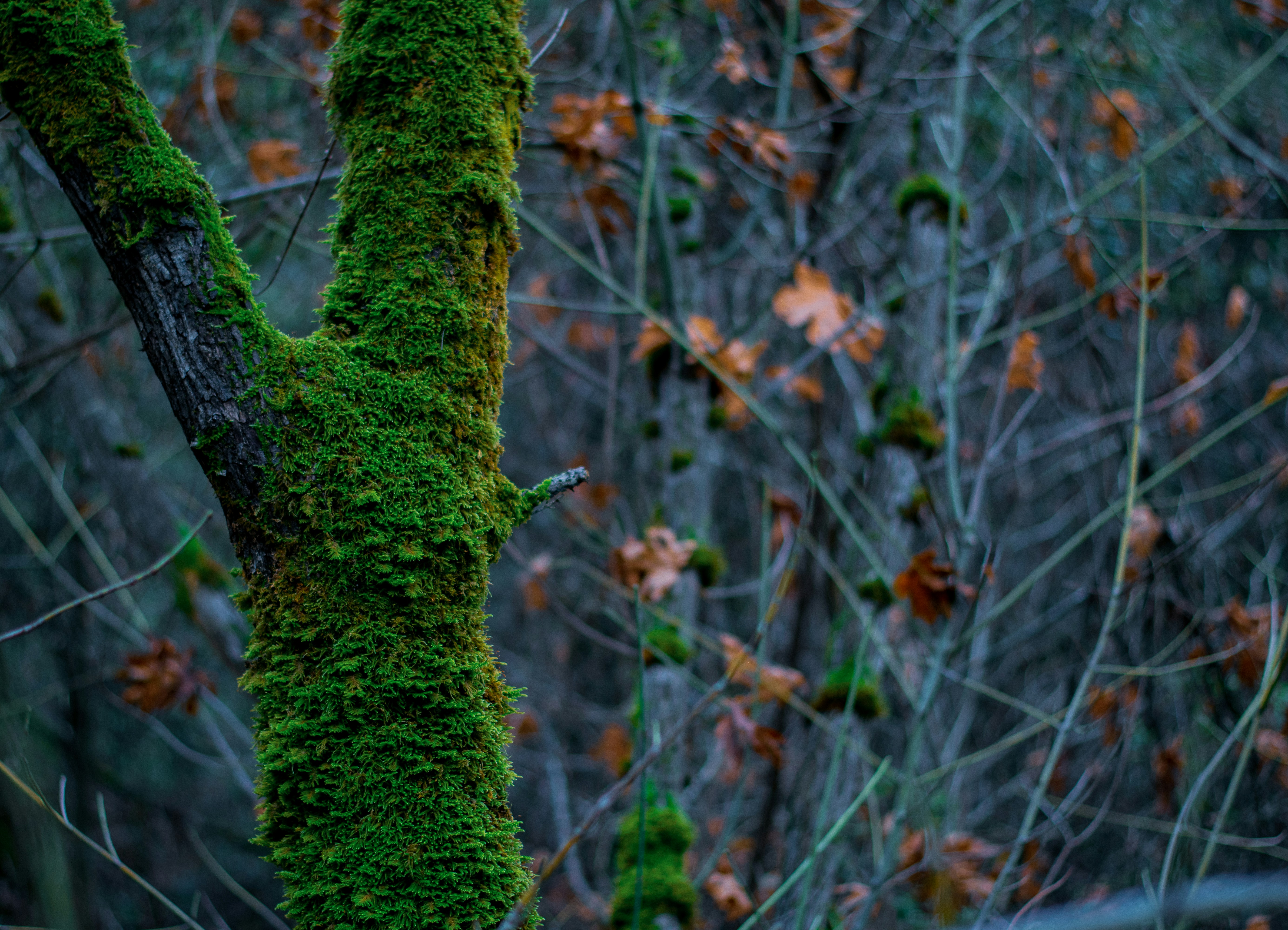 Photo by brady_bellini