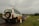 A white SUV is parked on the side of a road, with a visible spare tire mounted on the back. The road is flanked by a series of white and red posts, and it stretches into the distance. The surroundings are lush with greenery, and the sky is overcast with a heavy, gray cloud cover.