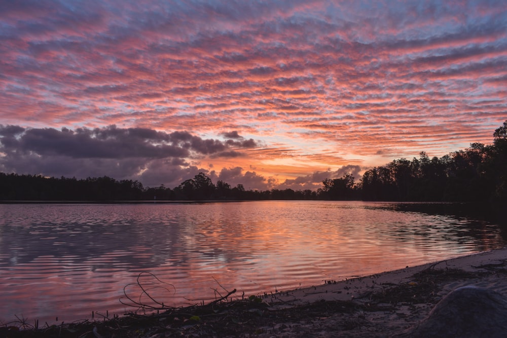 body of water near trees during sunset