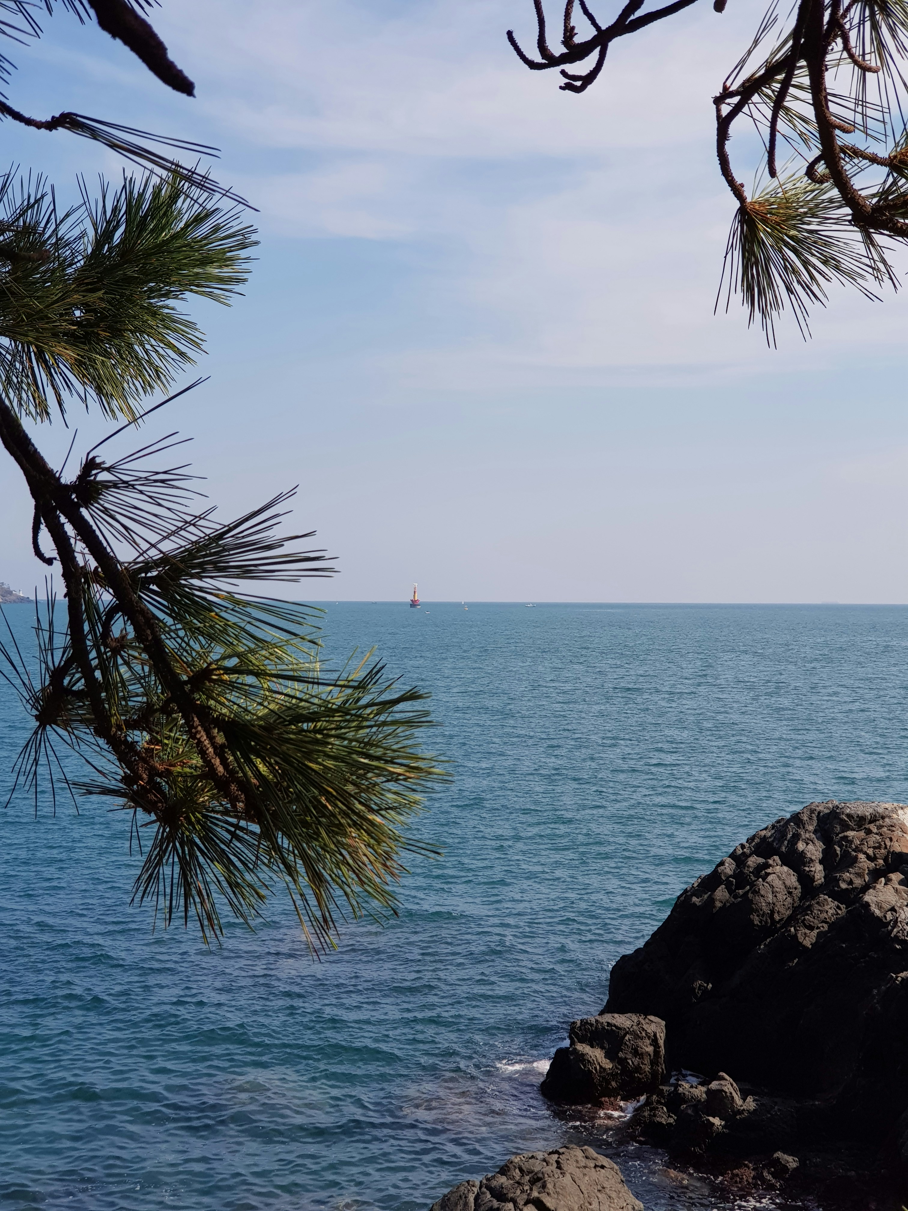 Photo by _picsby_ahal