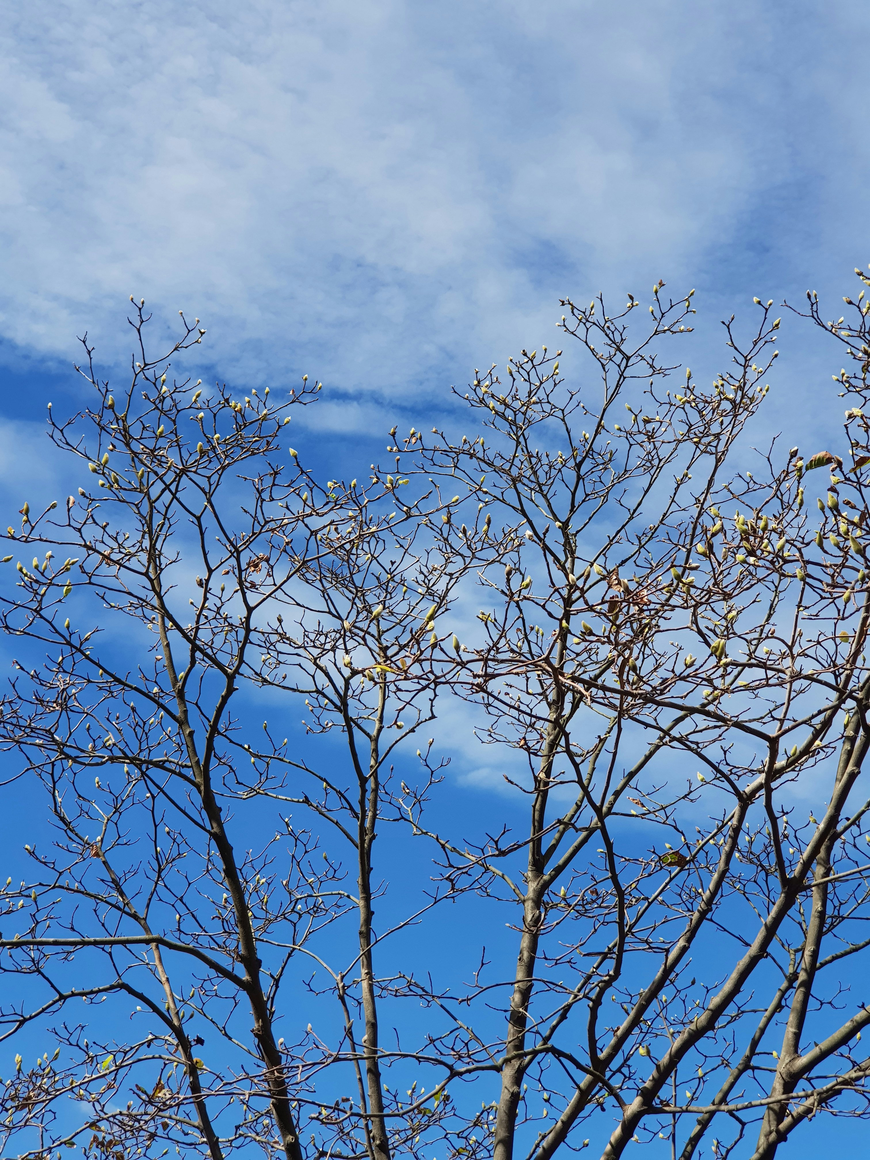 Photo by _picsby_ahal