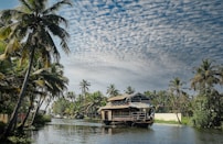 Kerala Backwaters: Network of canals and waterways in Kerala, India, popular for boat tours.