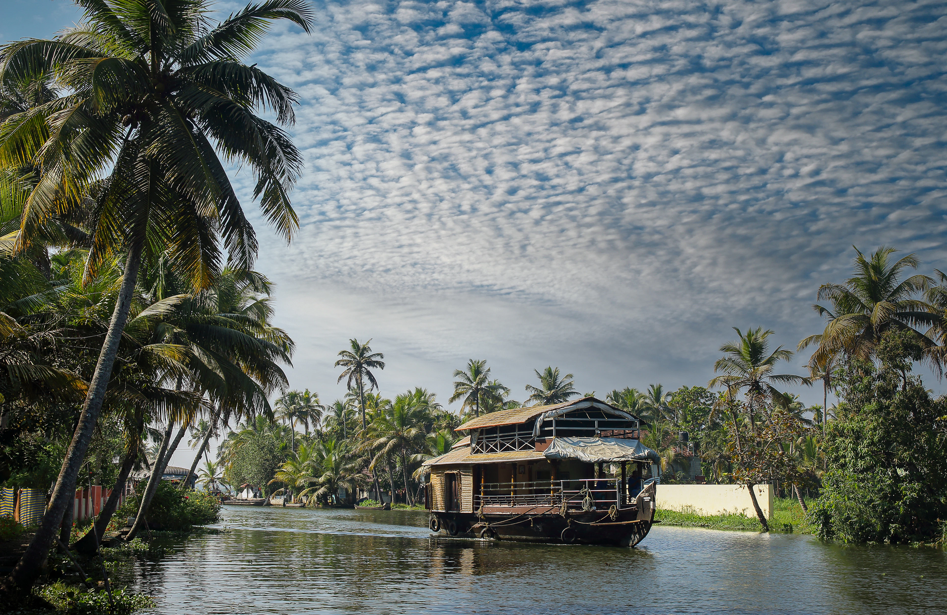 Wooden boat gliding beneath coconut palms on a quiet backwater canal