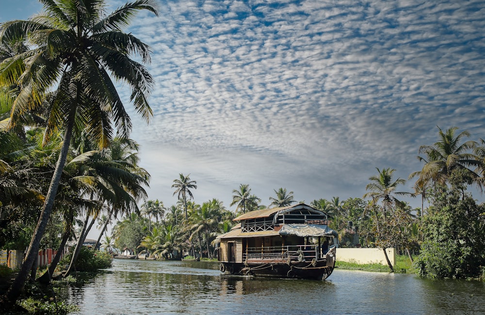 Braunes Holzboot tagsüber auf Gewässern in der Nähe von grünen Palmen