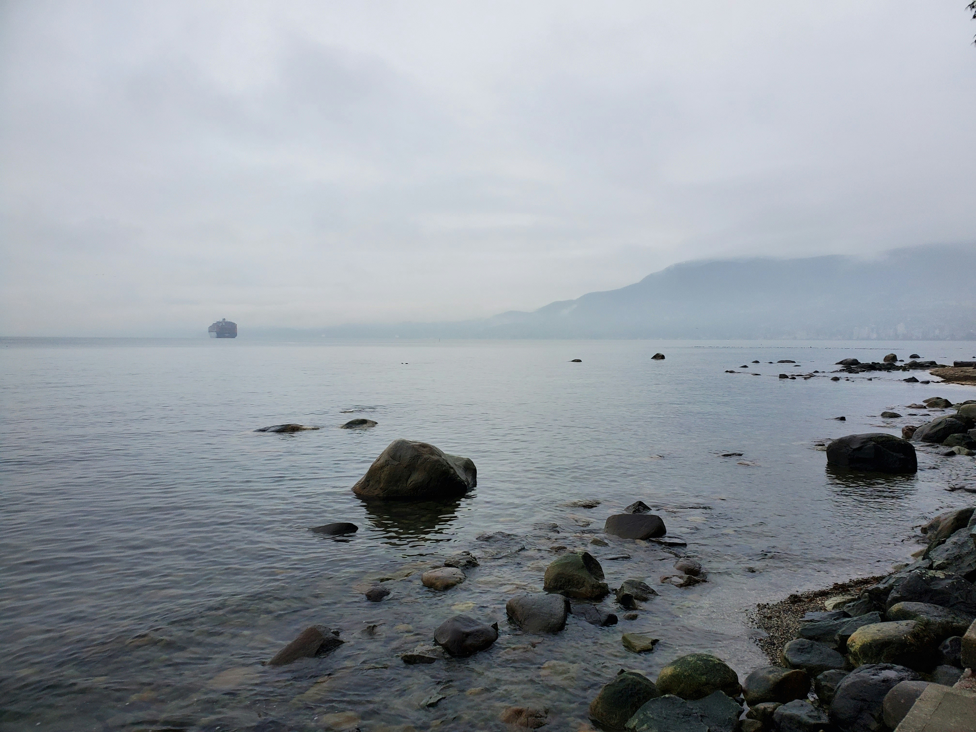 Photo by tessaherondalecarstairs