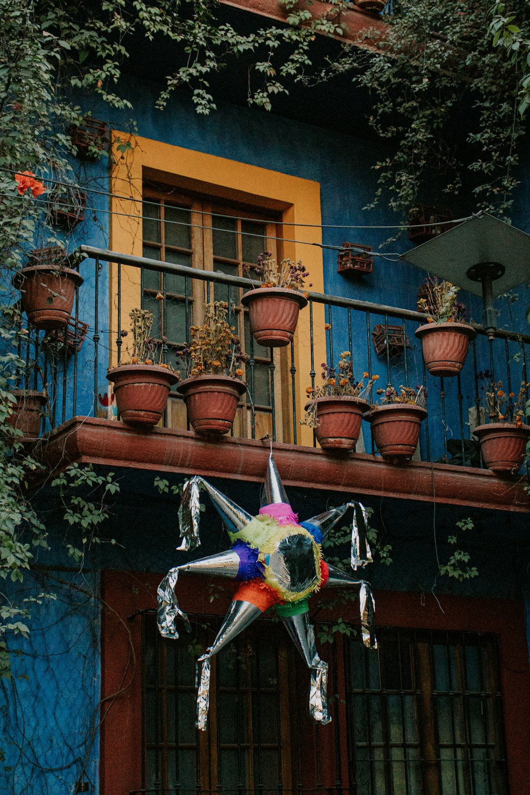 blue yellow and green bird plush toy hanging on brown concrete building during daytime