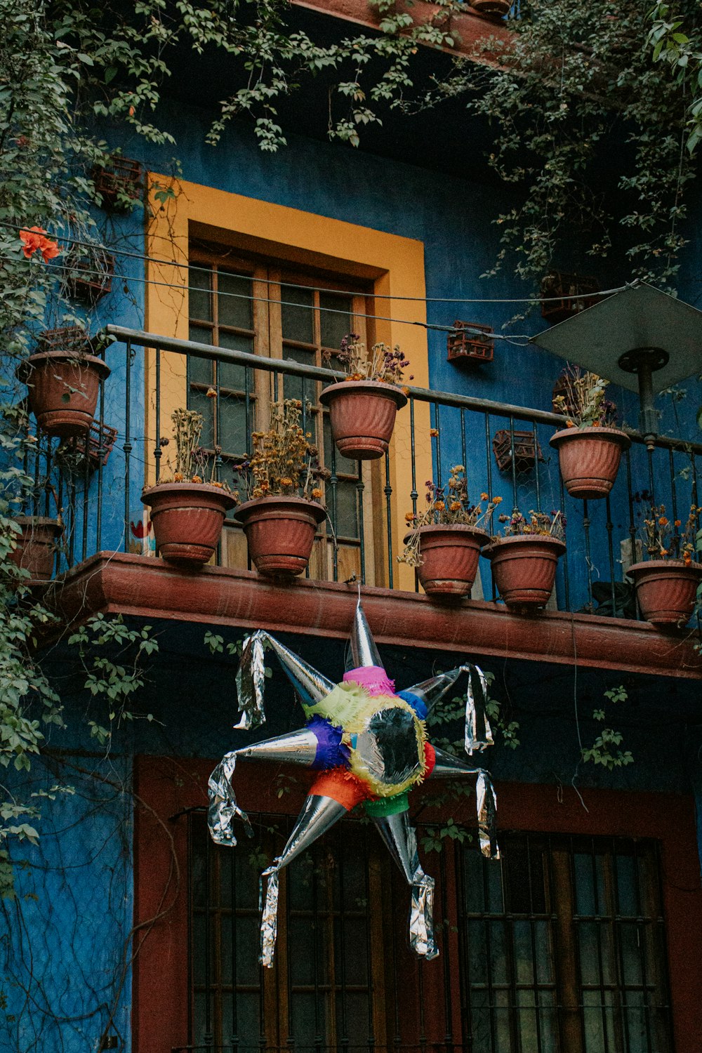 juguete de peluche de pájaro azul, amarillo y verde que cuelga en un edificio de hormigón marrón durante el día