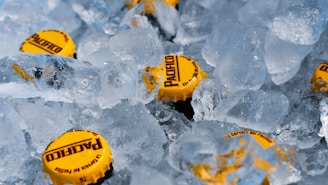 yellow and black round container on ice