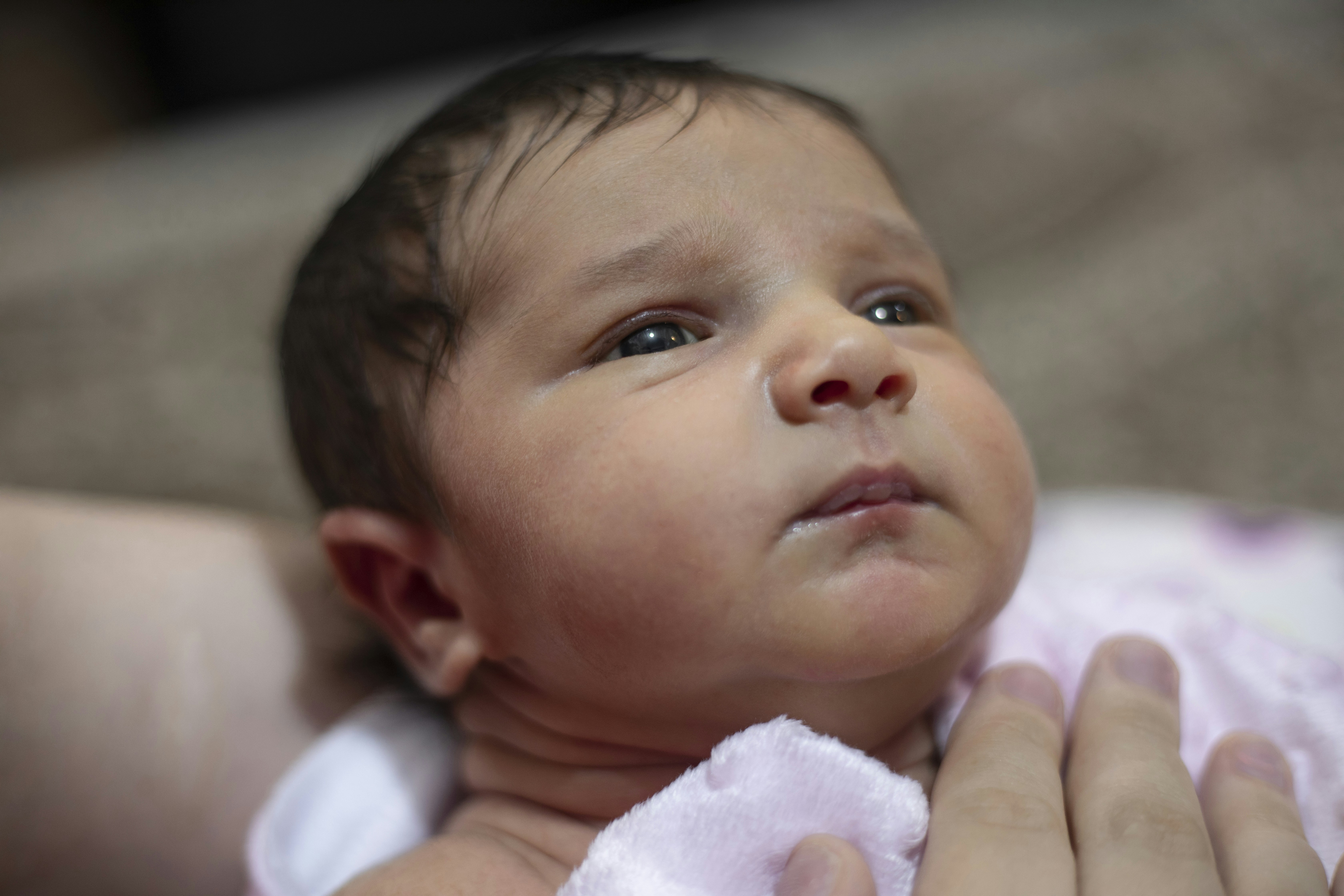 Photo by mehdiasgari