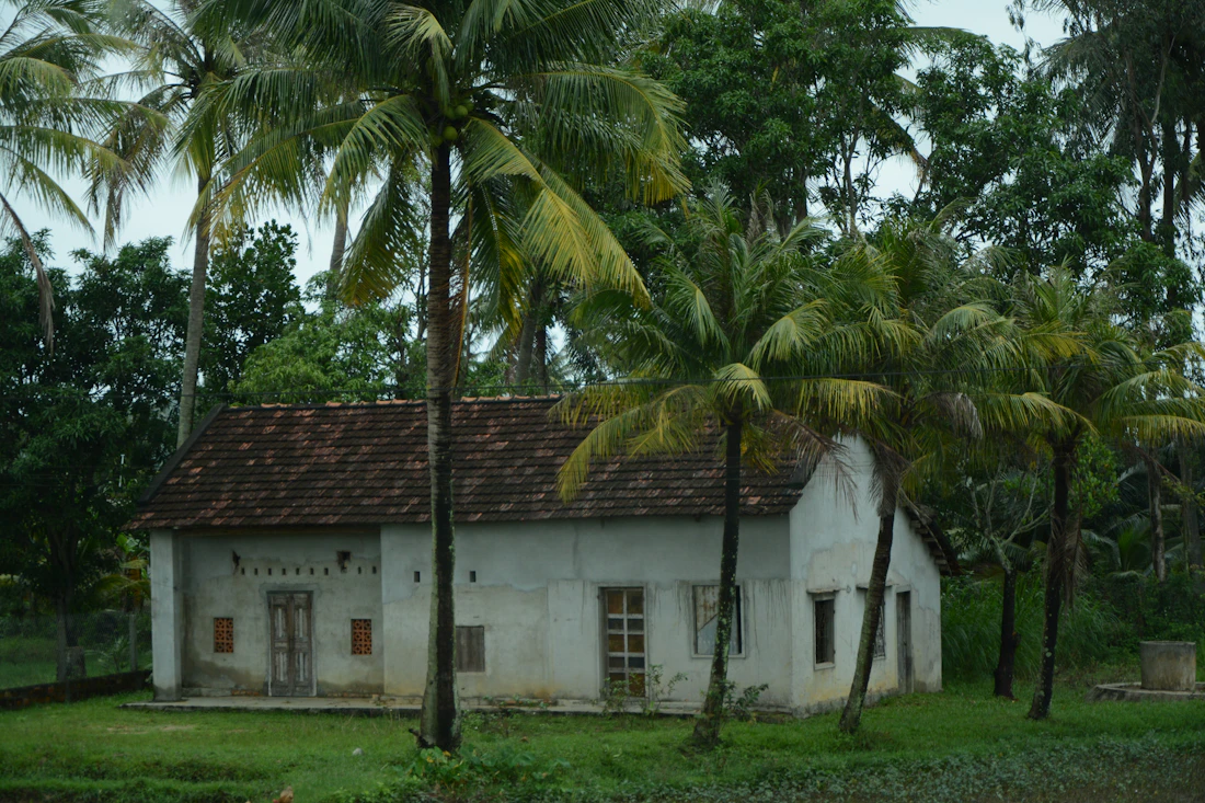 White coastal house with palm trees under a blue sky