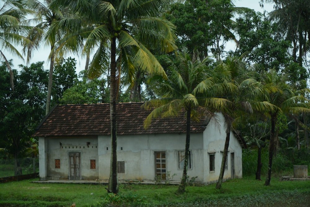 white concrete house near palm trees during daytime