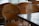 A set of wooden chairs with cut-out lettering on the backrests can be seen. The chairs are arranged around wooden tables, suggesting a cafe or restaurant setting. The lighting is soft and natural, creating subtle reflections on the surfaces.