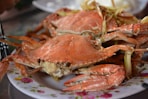 cooked crab on white ceramic plate