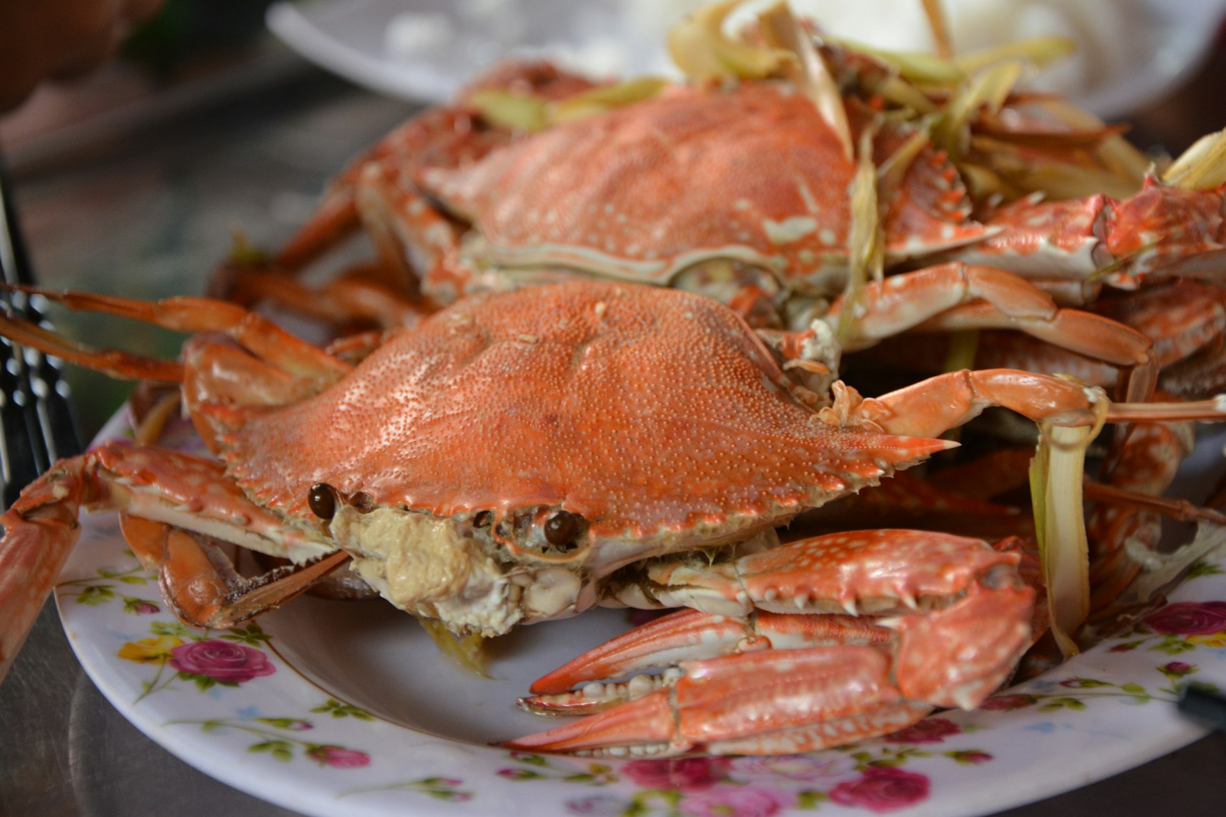 可以為了錢假裝沒吃海鮮，但不能為了甲殼回收而不吃螃蟹