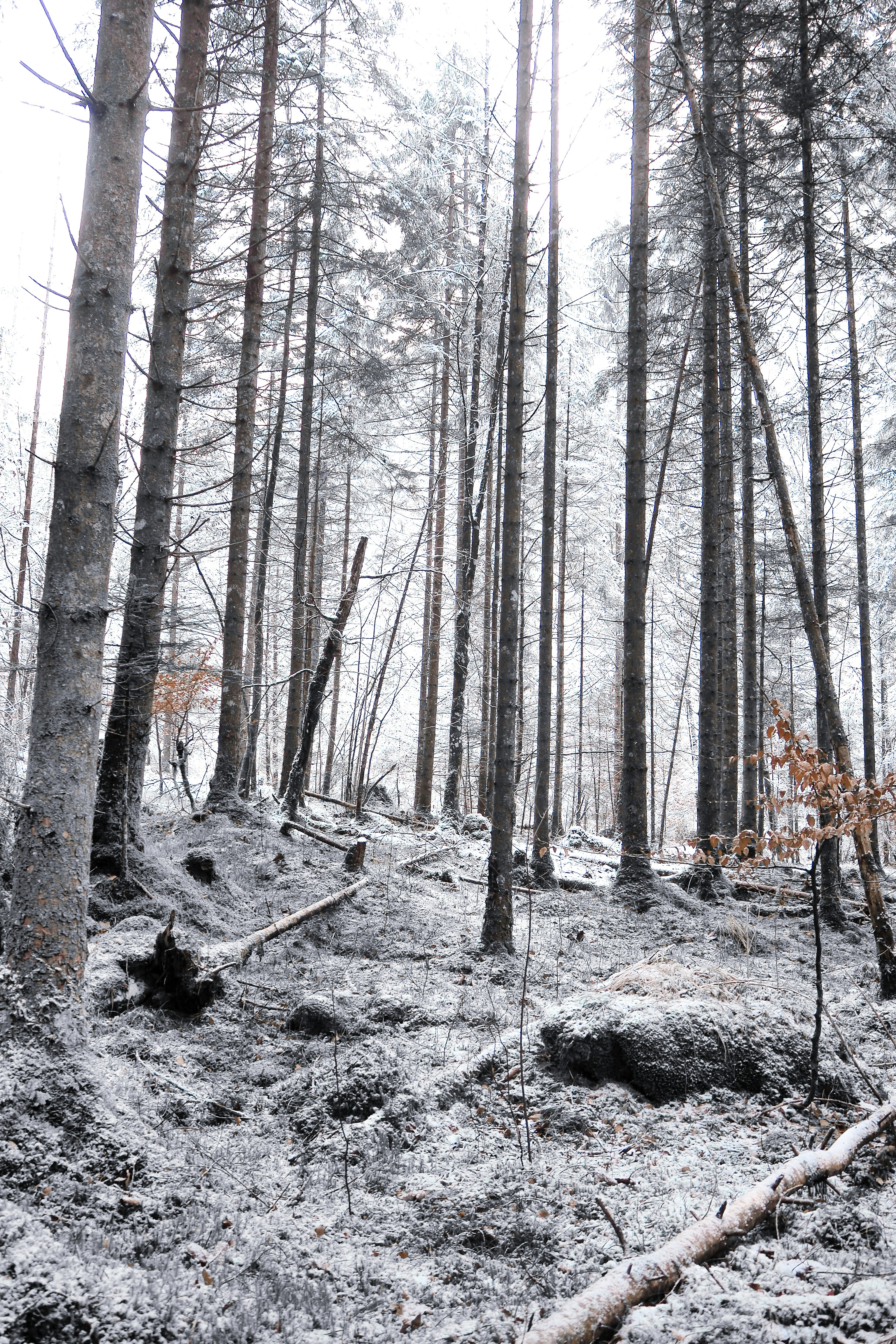 Photo by laurachouette