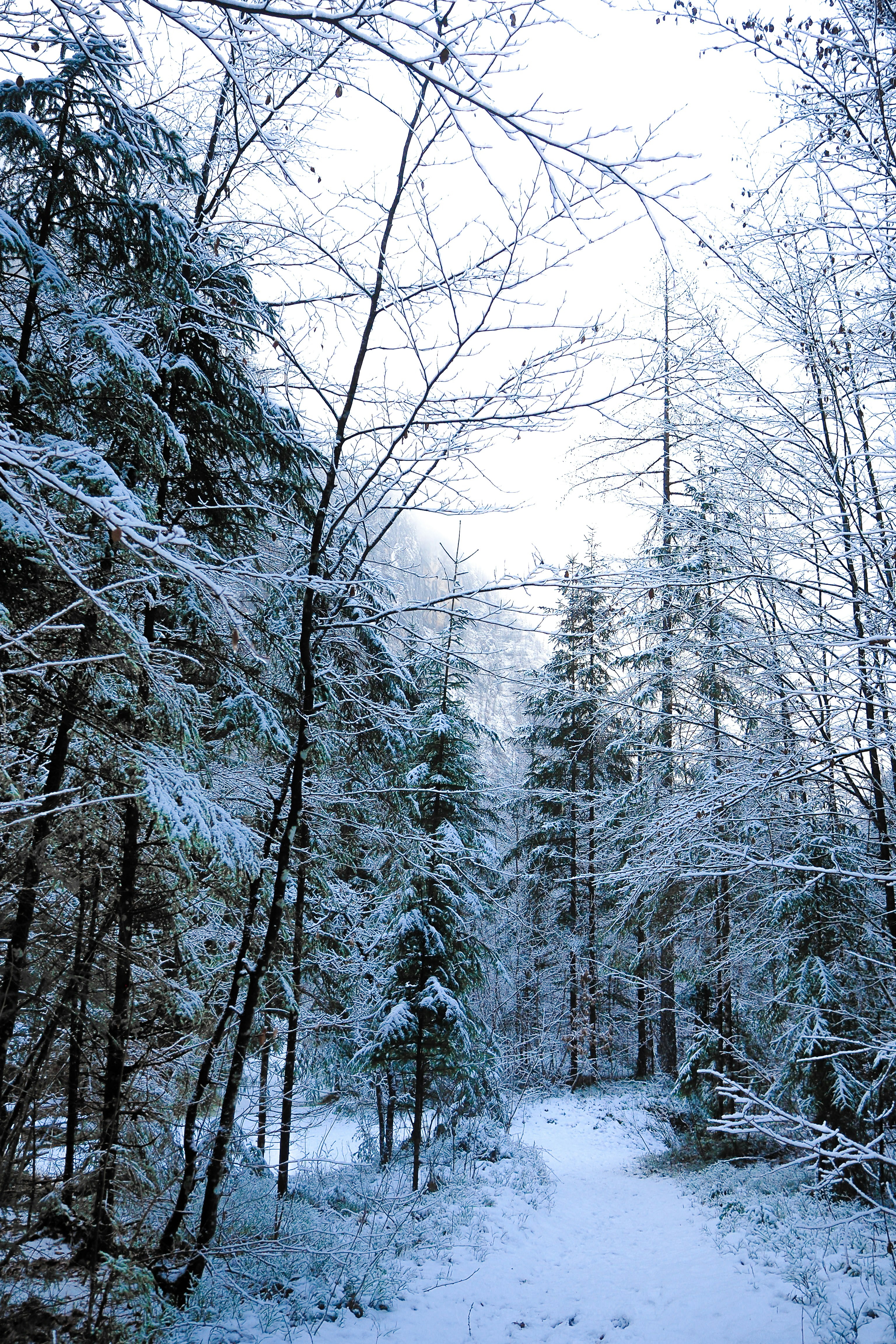 Photo by laurachouette