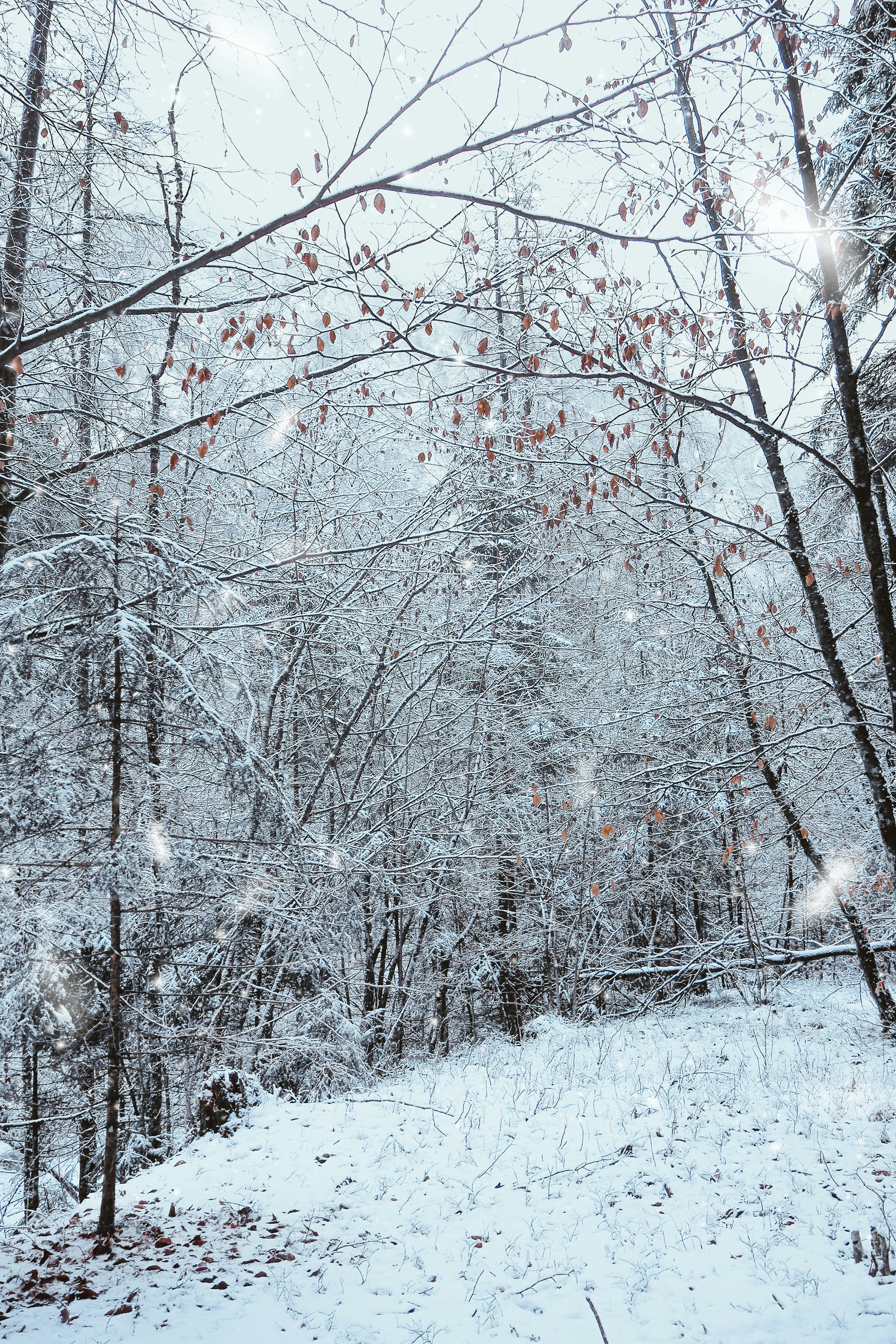 Photo by laurachouette