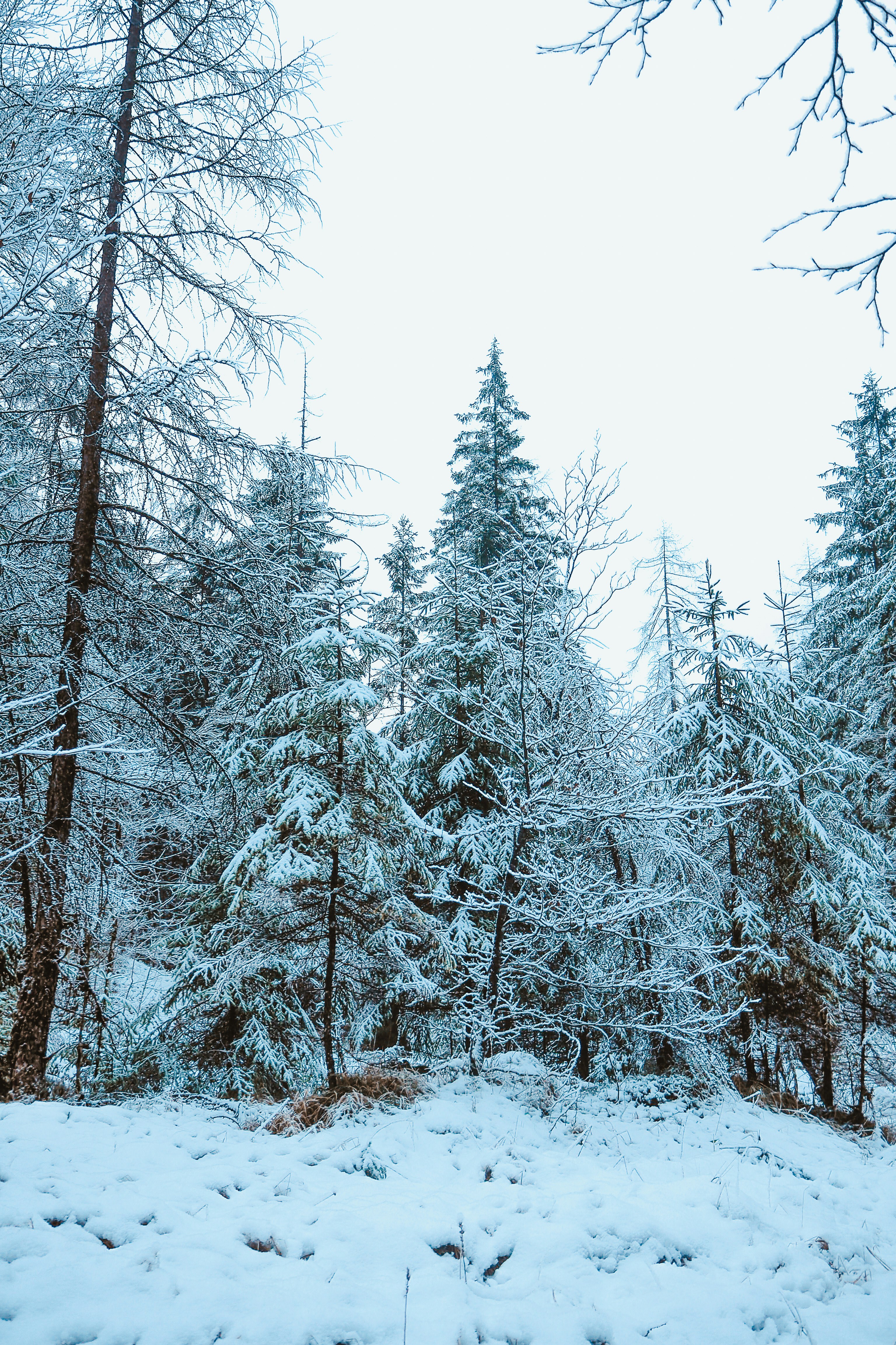 Photo by laurachouette