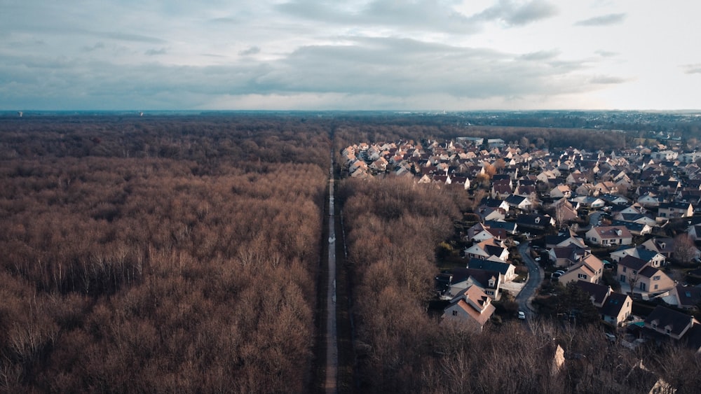 aerial view of green trees and houses during daytime