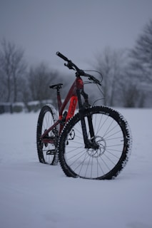 A red mountain bike is positioned in a snow-covered landscape, creating a contrasting scene with its dark tires and frame against the white backdrop. The background shows barren trees, suggesting a winter setting under an overcast sky.