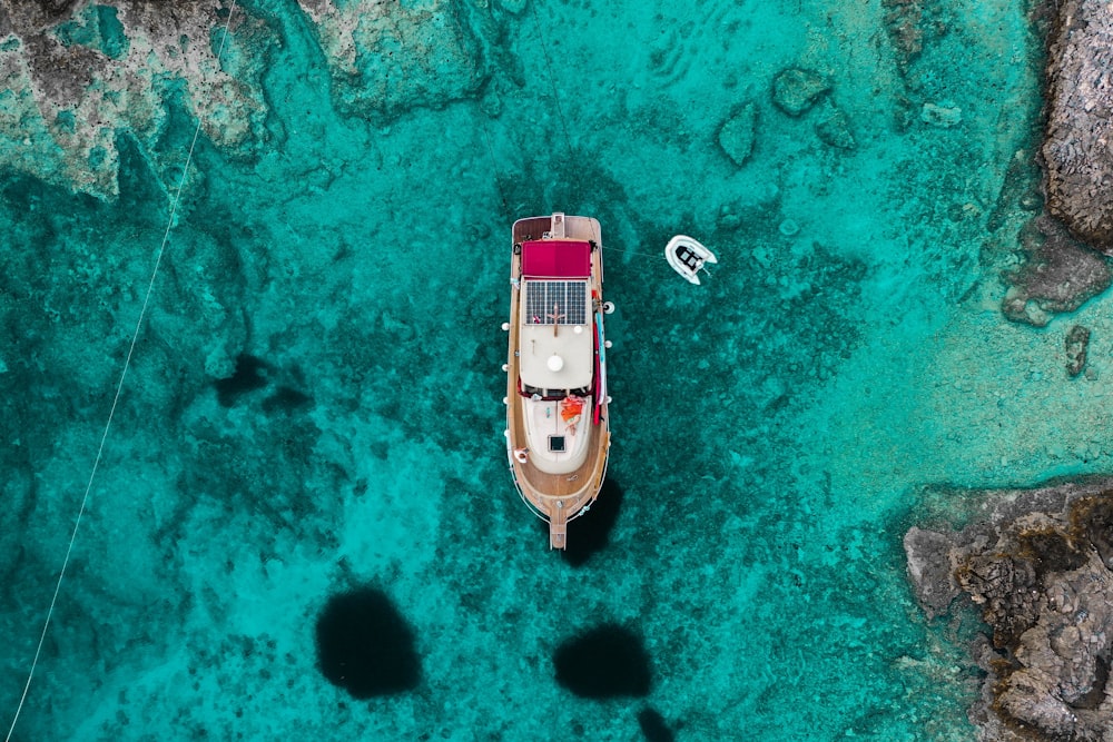 white and red car on body of water