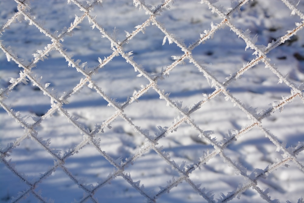 blue metal fence during daytime