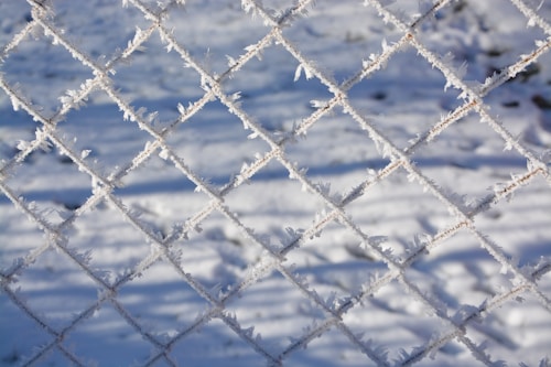 A chain-link fence is covered in frost, with the background showing snow-covered ground and subtle shadows.