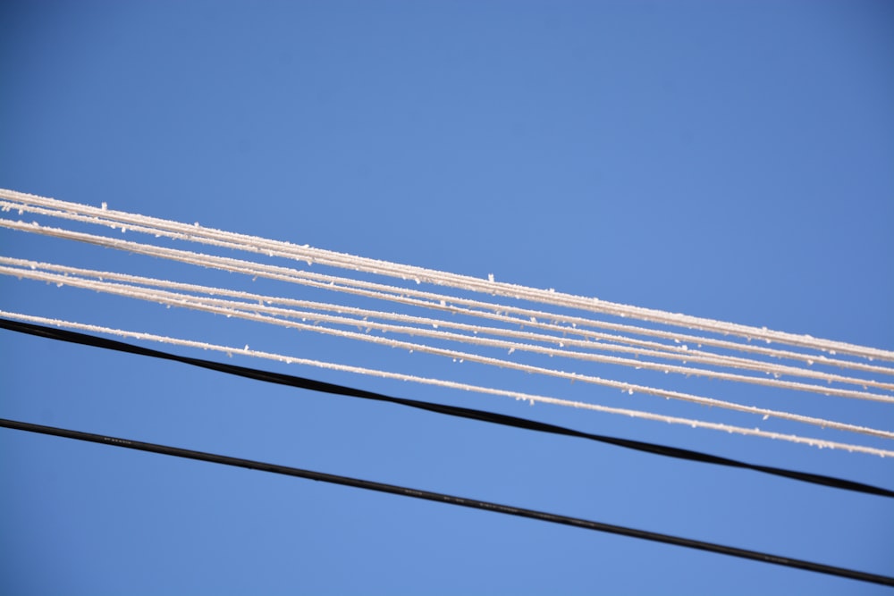 white and blue string lights under blue sky during daytime