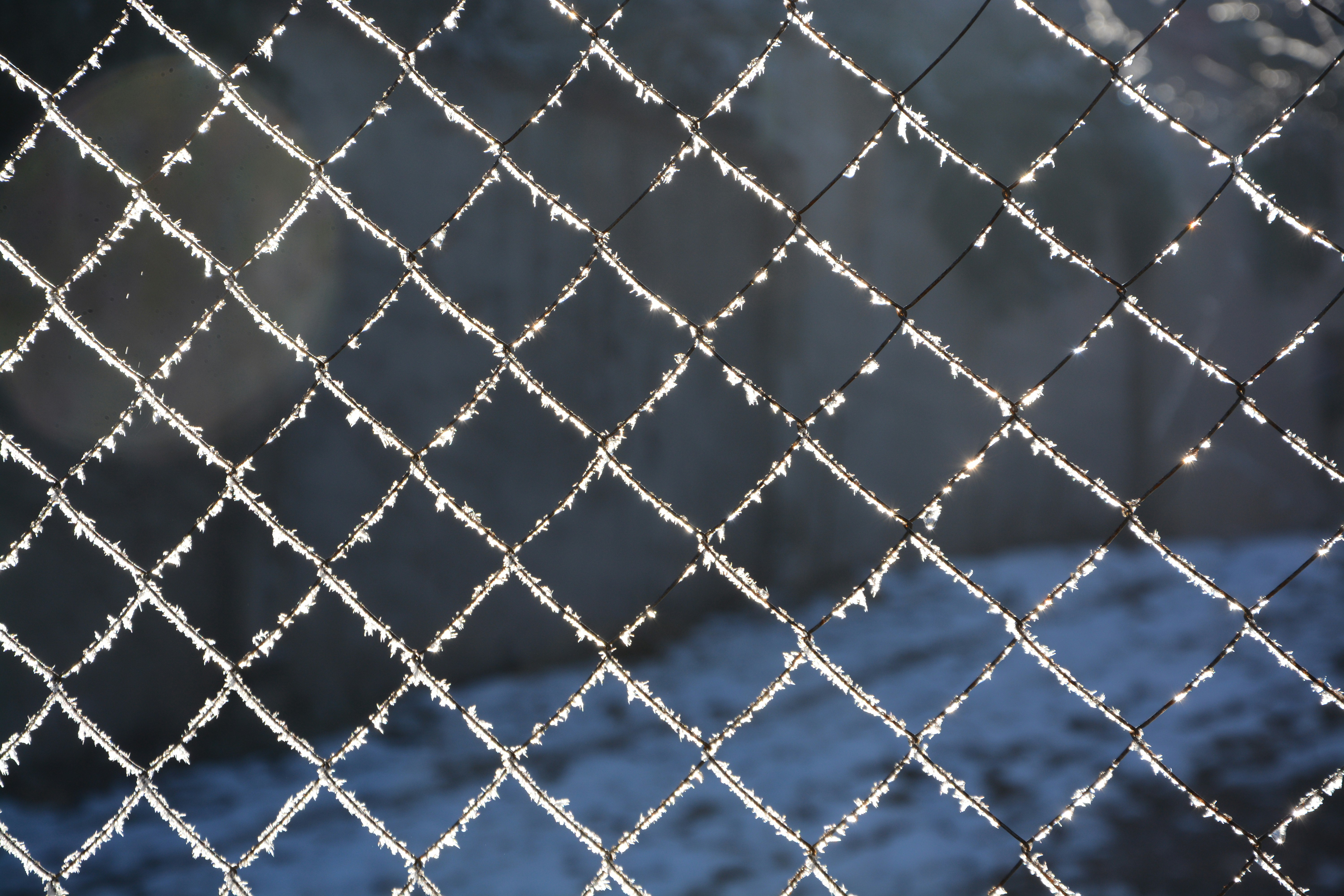 Photo by ekotavkhelidze