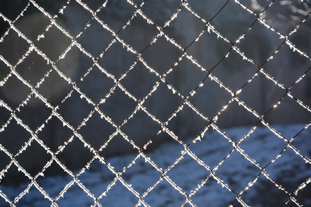 blue metal fence with chain link fence