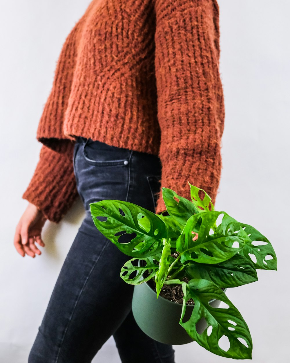 personne en pull en tricot marron et jeans en denim noir debout à côté d'une plante verte